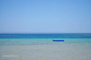 أثر المساحة على مدلولات العمل الفني