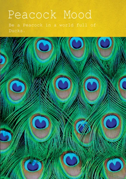 animal-mood-5-1-e1573217554634