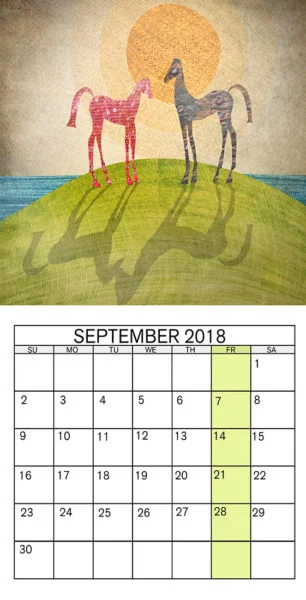 -كشف-9-e1571574413263